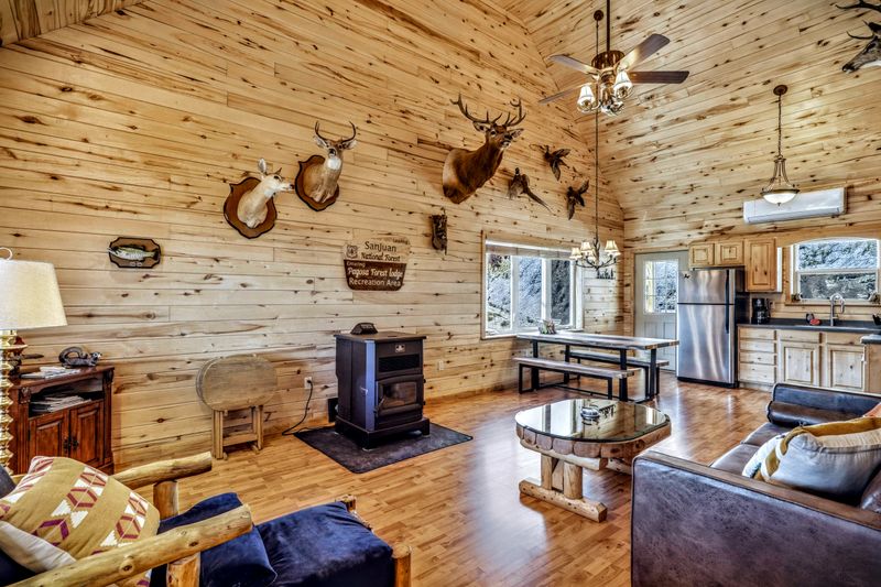 Great room with vaulted ceilings and pellet stove